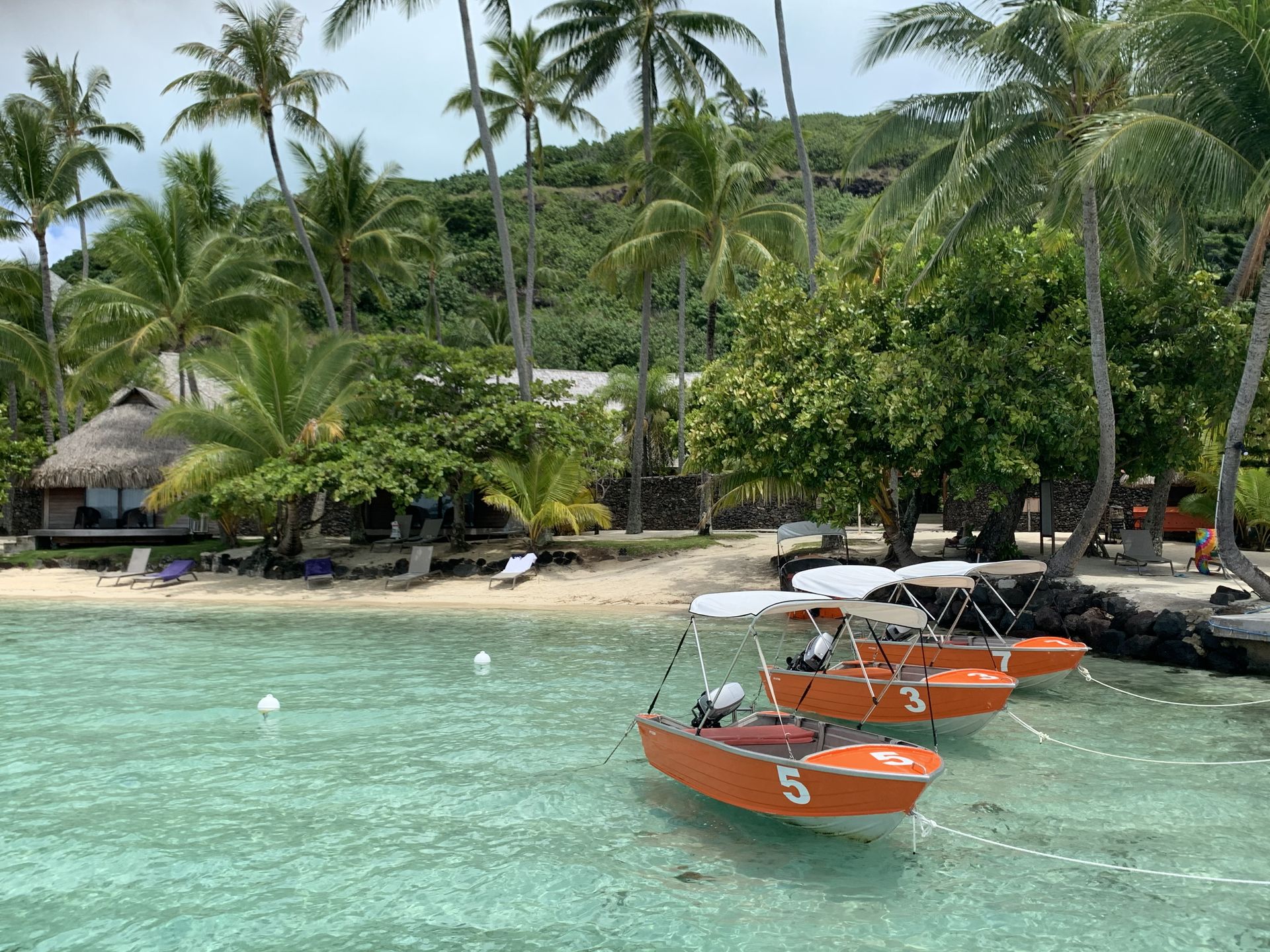 Bateau Quintrex
