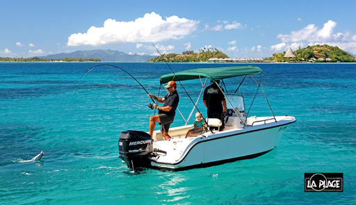 Lagoon and coastal fishing