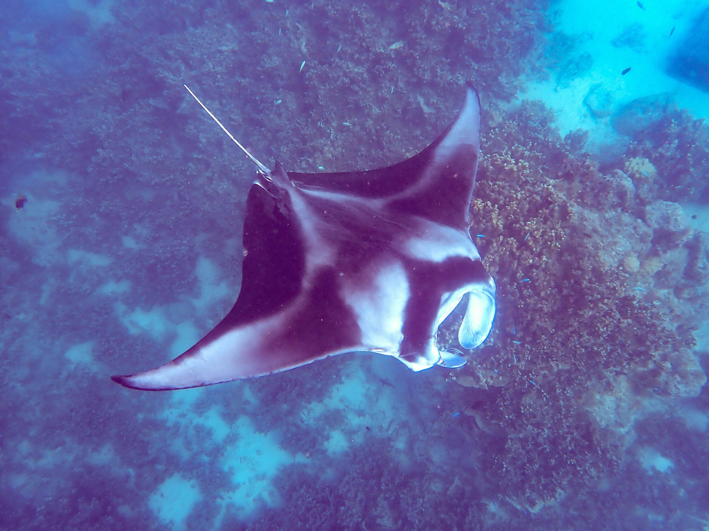 P5181648.webp