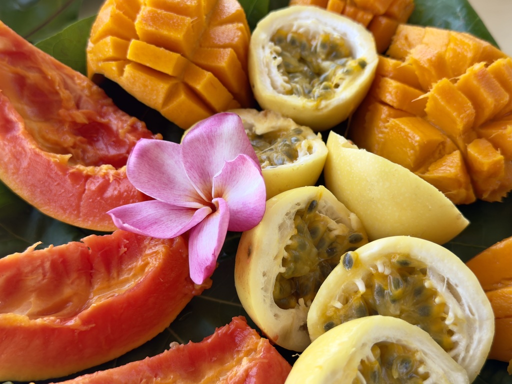 Dégustation fruits
