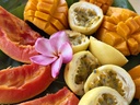 Dégustation fruits